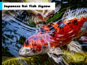 Japanese Koi Fish Jigsaw