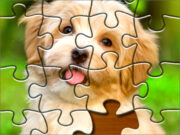 Jigsaw Puzzle 2020