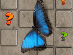 Butterfly Memory Match
