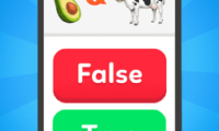 True False – Quiz