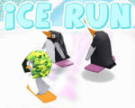Ice Run